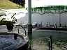 Dscn1021.jpg