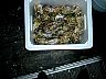 DSCN2739.JPG