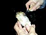 DSCN2759.JPG